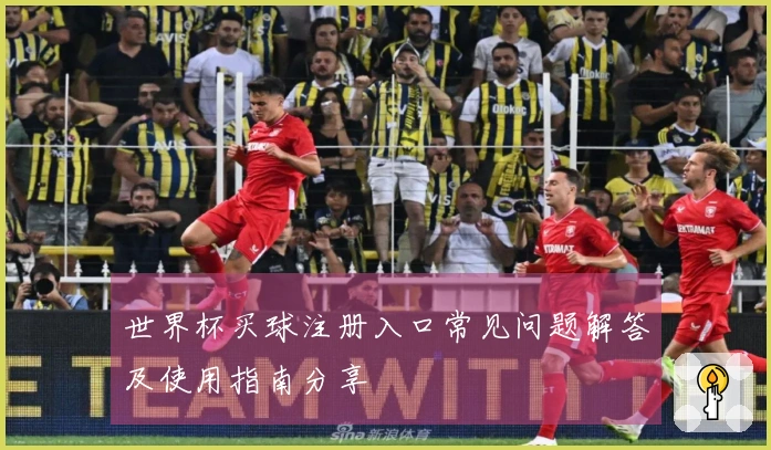 世界杯买球注册入口常见问题解答及使用指南分享