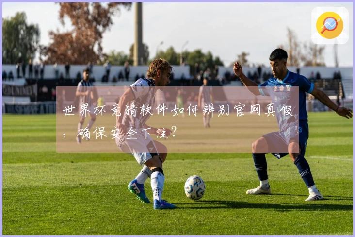 世界杯竞猜软件如何辨别官网真假，确保安全下注？