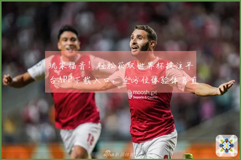 玩家福音！轻松获取世界杯投注平台APP下载入口，全方位体验体育直播精彩