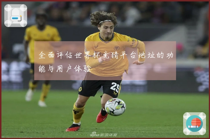 全面评估世界杯竞猜平台地址的功能与用户体验