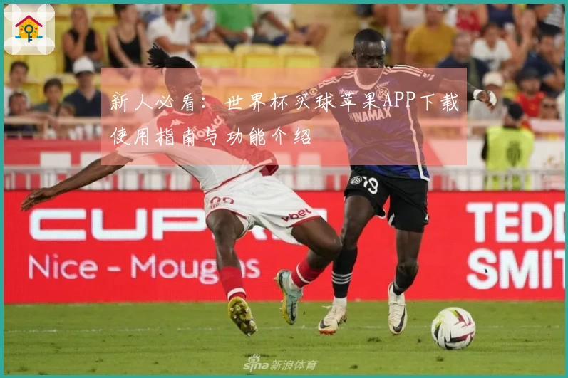 新人必看：世界杯买球苹果APP下载使用指南与功能介绍