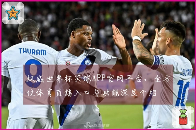 权威世界杯买球APP官网平台，全方位体育直播入口与功能深度介绍