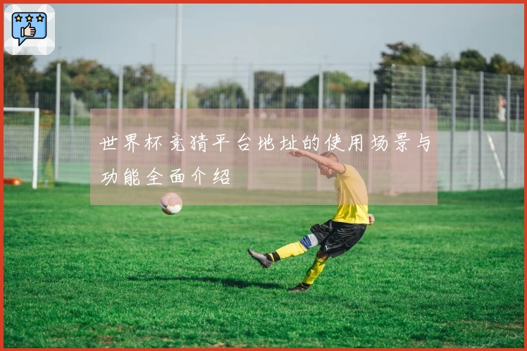 世界杯竞猜平台地址的使用场景与功能全面介绍