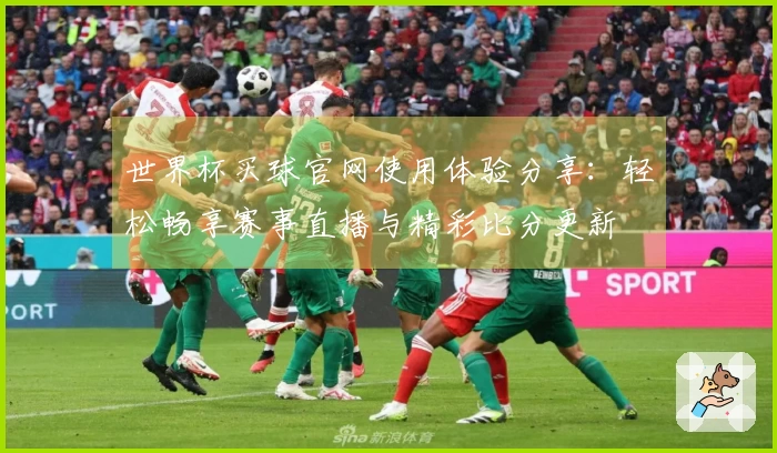 世界杯买球官网使用体验分享：轻松畅享赛事直播与精彩比分更新