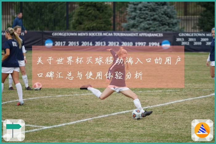 关于世界杯买球移动端入口的用户口碑汇总与使用体验分析