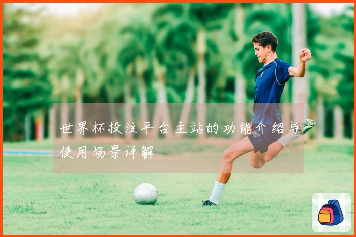 世界杯投注平台主站的功能介绍与使用场景详解