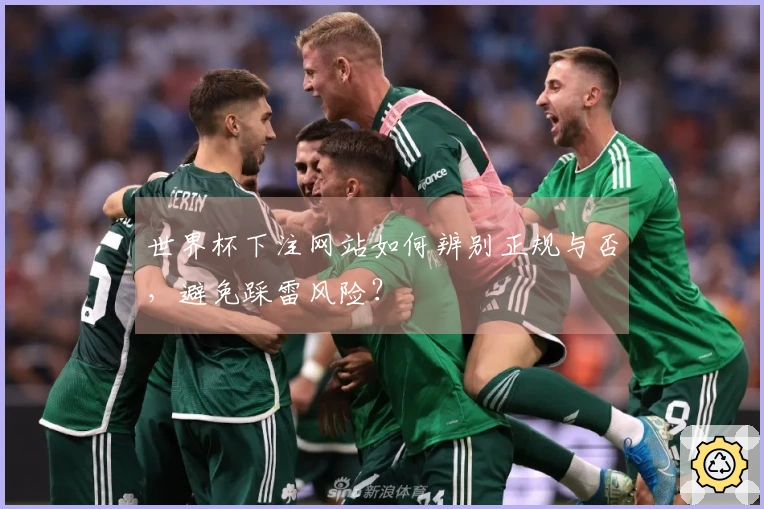 世界杯下注网站如何辨别正规与否，避免踩雷风险？