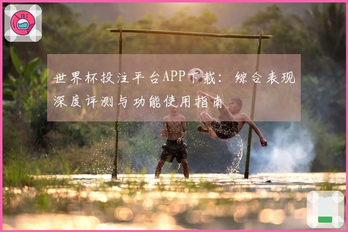 世界杯投注平台APP下载：综合表现深度评测与功能使用指南