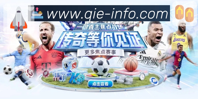 搜索历史与收藏